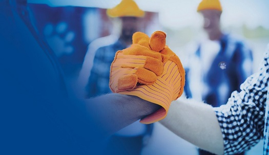 Advent International anuncia investimento estratégico no Grupo Tigre
