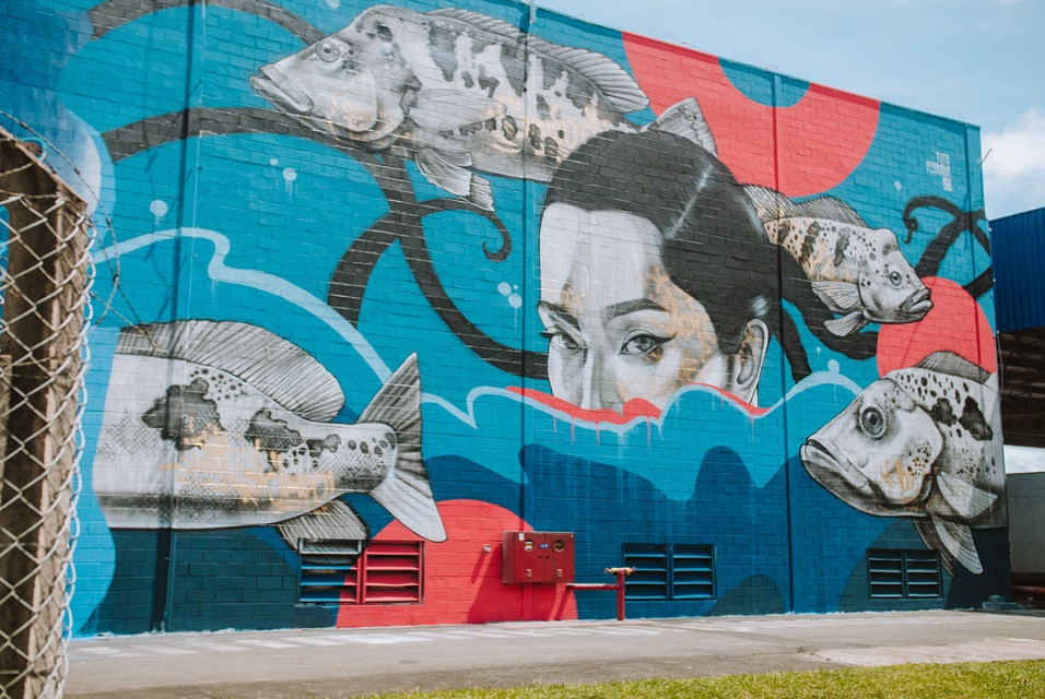 Fábrica de Graffiti and ICRH