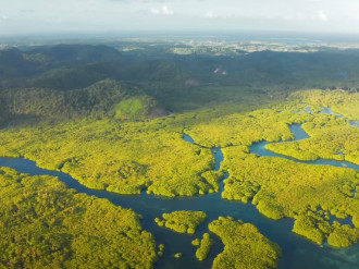 22 de marzo | Día Mundial del Agua